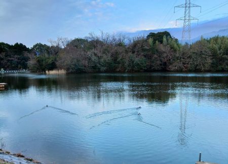 ルアーでチャレンジ 大安トラウトレイク